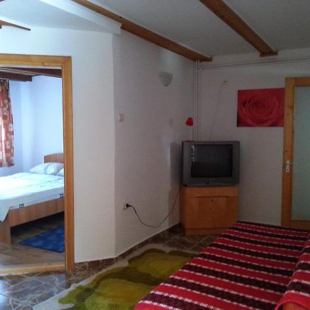 Hotel Casa Trandafirilor Cîrţişoara Zewnętrze zdjęcie