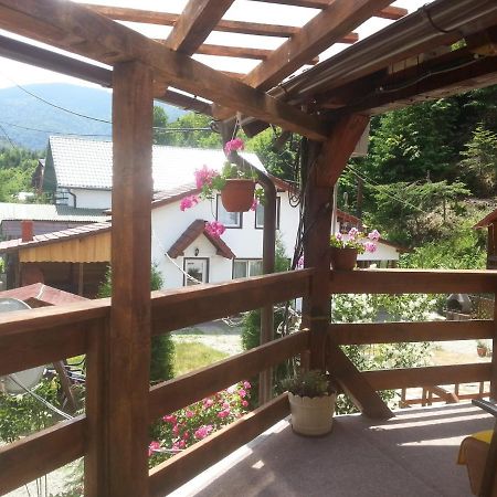 Hotel Casa Trandafirilor Cîrţişoara Zewnętrze zdjęcie