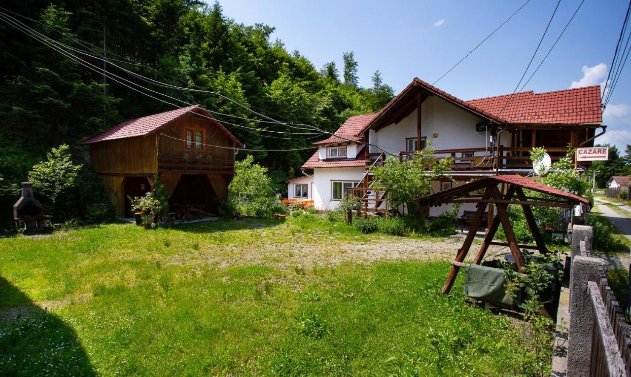 Hotel Casa Trandafirilor Cîrţişoara Zewnętrze zdjęcie