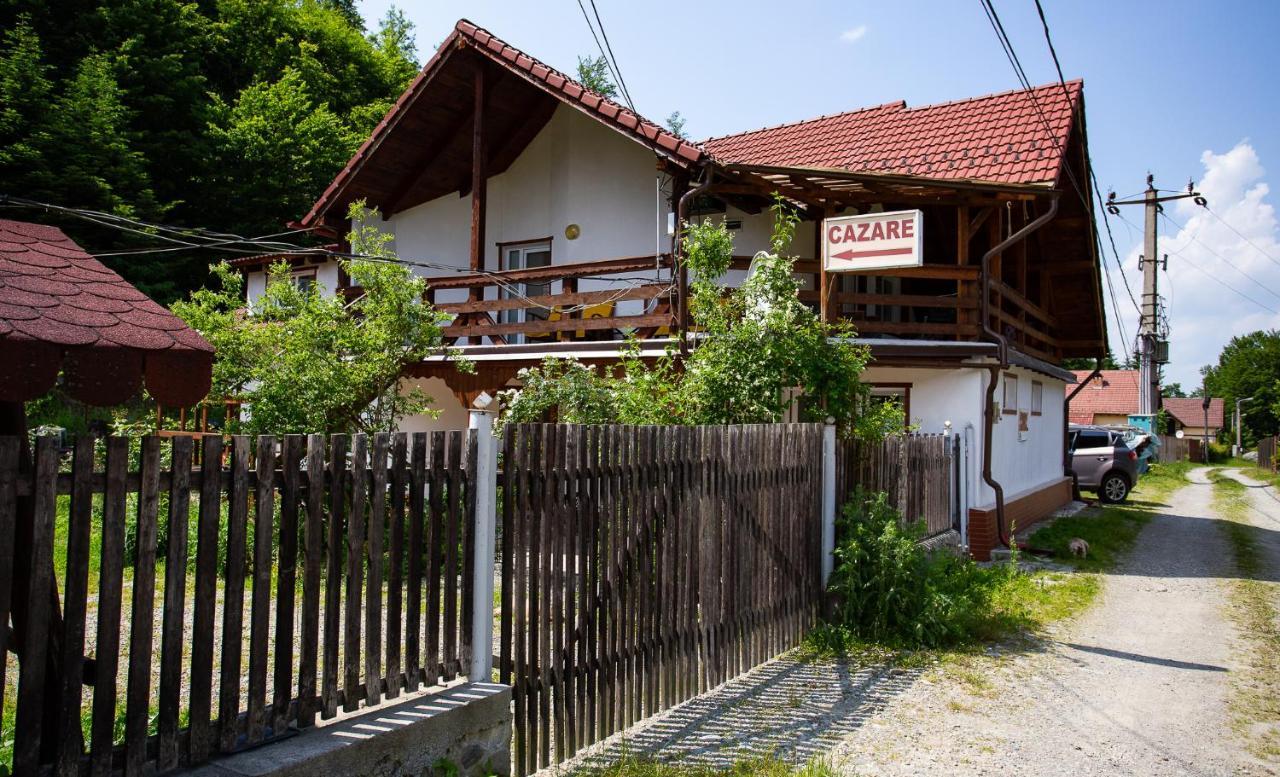 Hotel Casa Trandafirilor Cîrţişoara Zewnętrze zdjęcie
