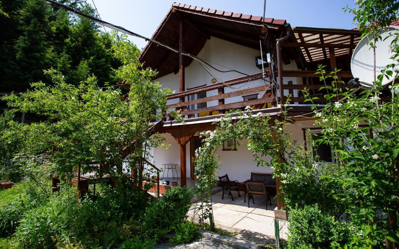 Hotel Casa Trandafirilor Cîrţişoara Zewnętrze zdjęcie