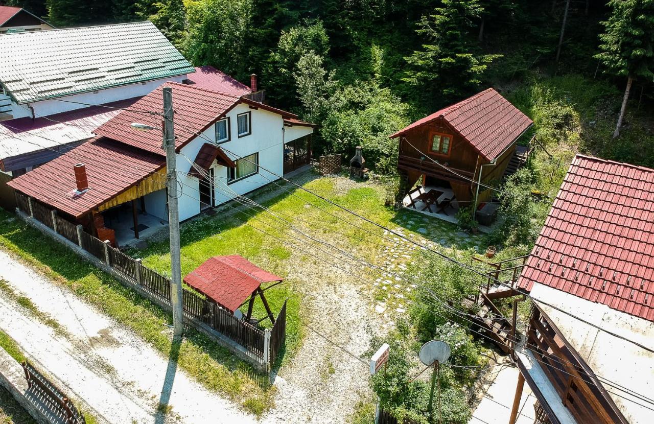 Hotel Casa Trandafirilor Cîrţişoara Zewnętrze zdjęcie