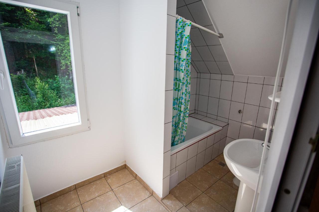 Hotel Casa Trandafirilor Cîrţişoara Zewnętrze zdjęcie