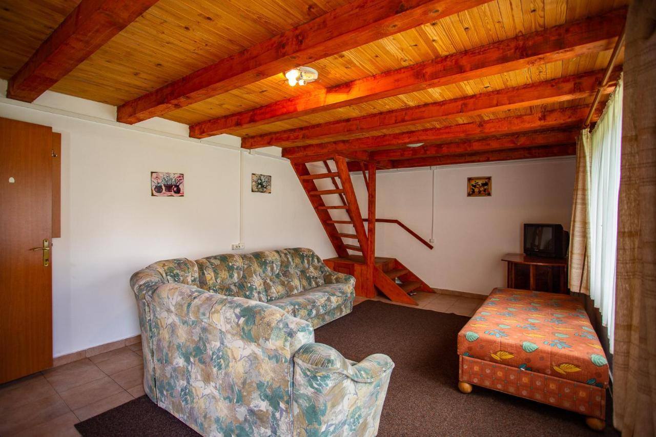 Hotel Casa Trandafirilor Cîrţişoara Zewnętrze zdjęcie