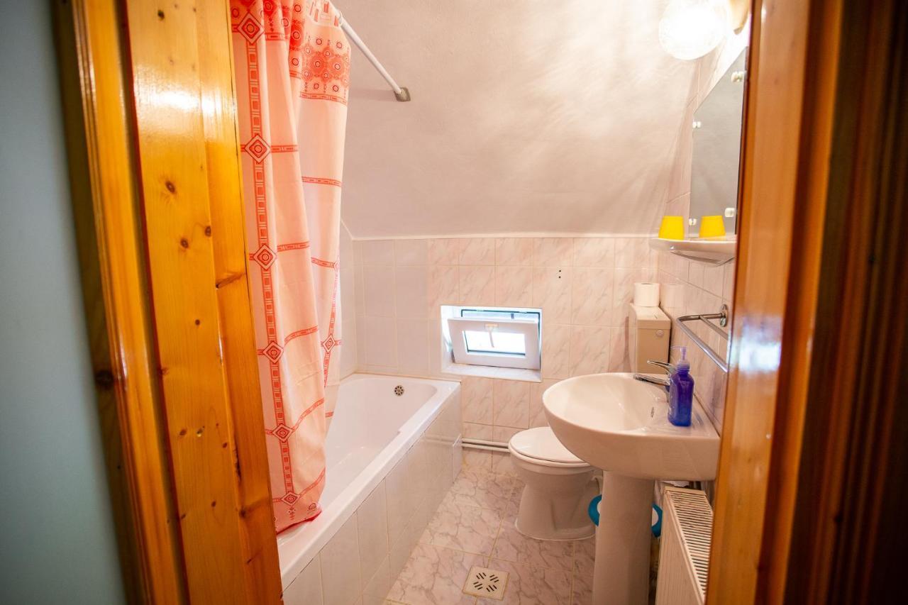 Hotel Casa Trandafirilor Cîrţişoara Zewnętrze zdjęcie