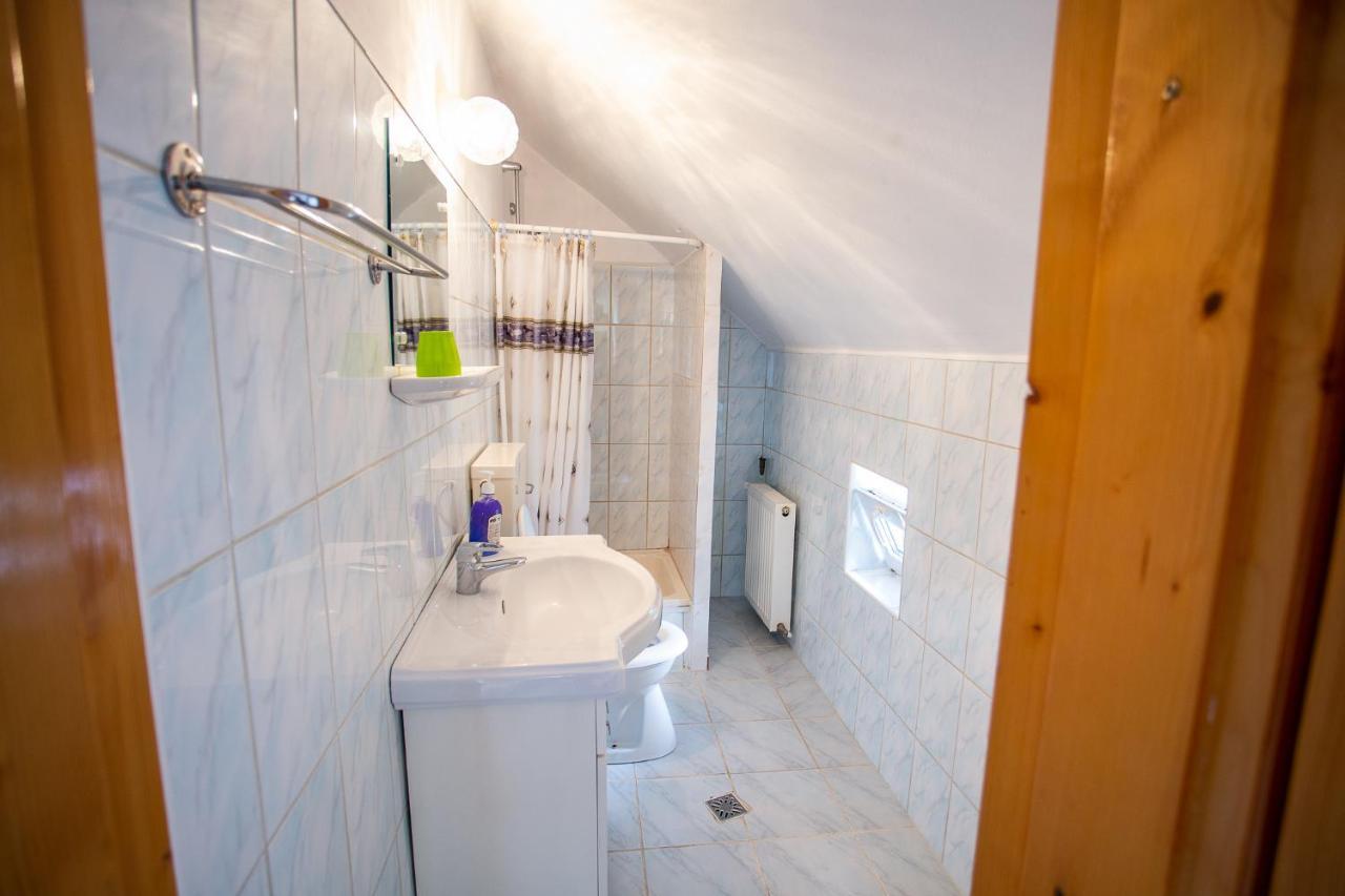 Hotel Casa Trandafirilor Cîrţişoara Zewnętrze zdjęcie