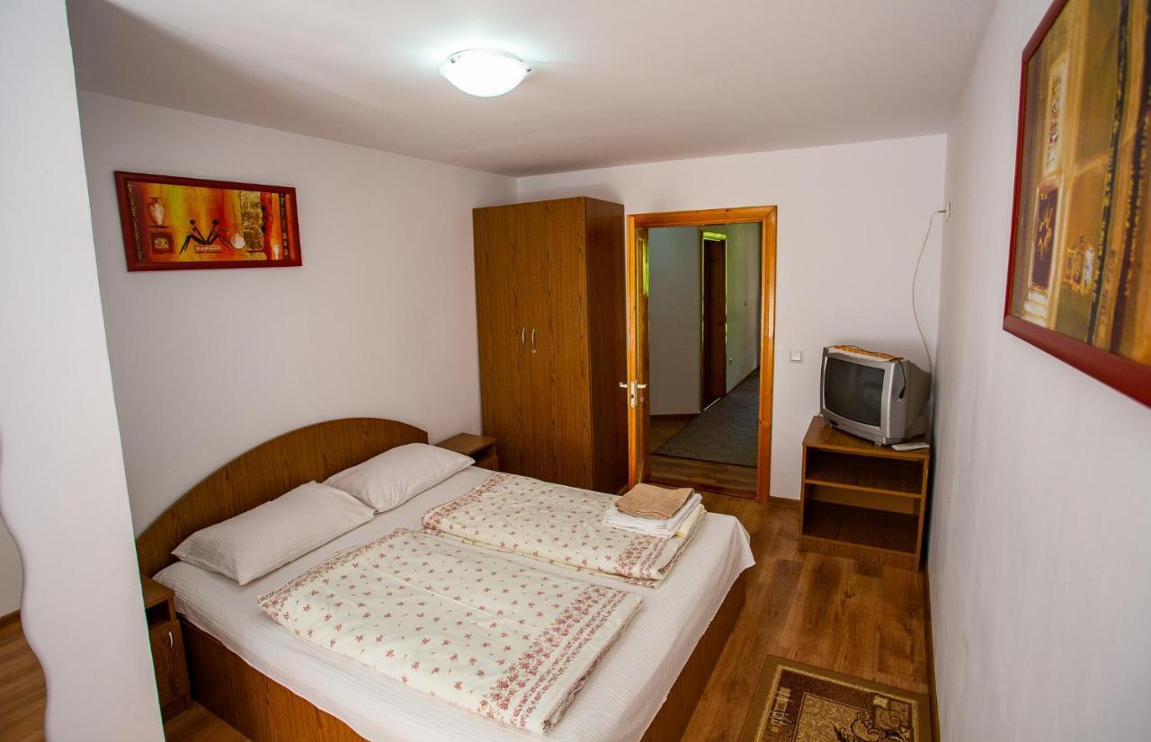 Hotel Casa Trandafirilor Cîrţişoara Zewnętrze zdjęcie