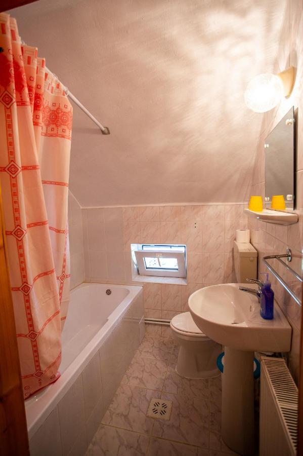 Hotel Casa Trandafirilor Cîrţişoara Zewnętrze zdjęcie