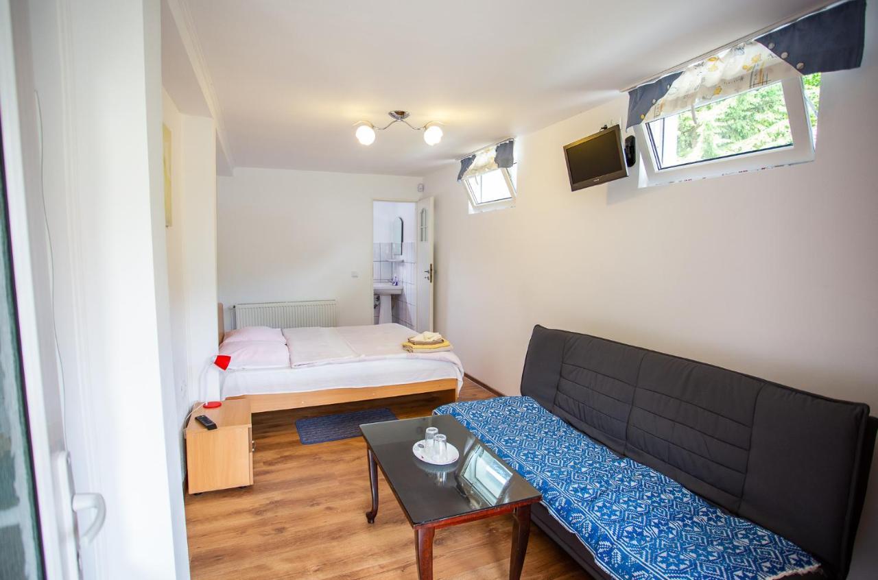 Hotel Casa Trandafirilor Cîrţişoara Zewnętrze zdjęcie