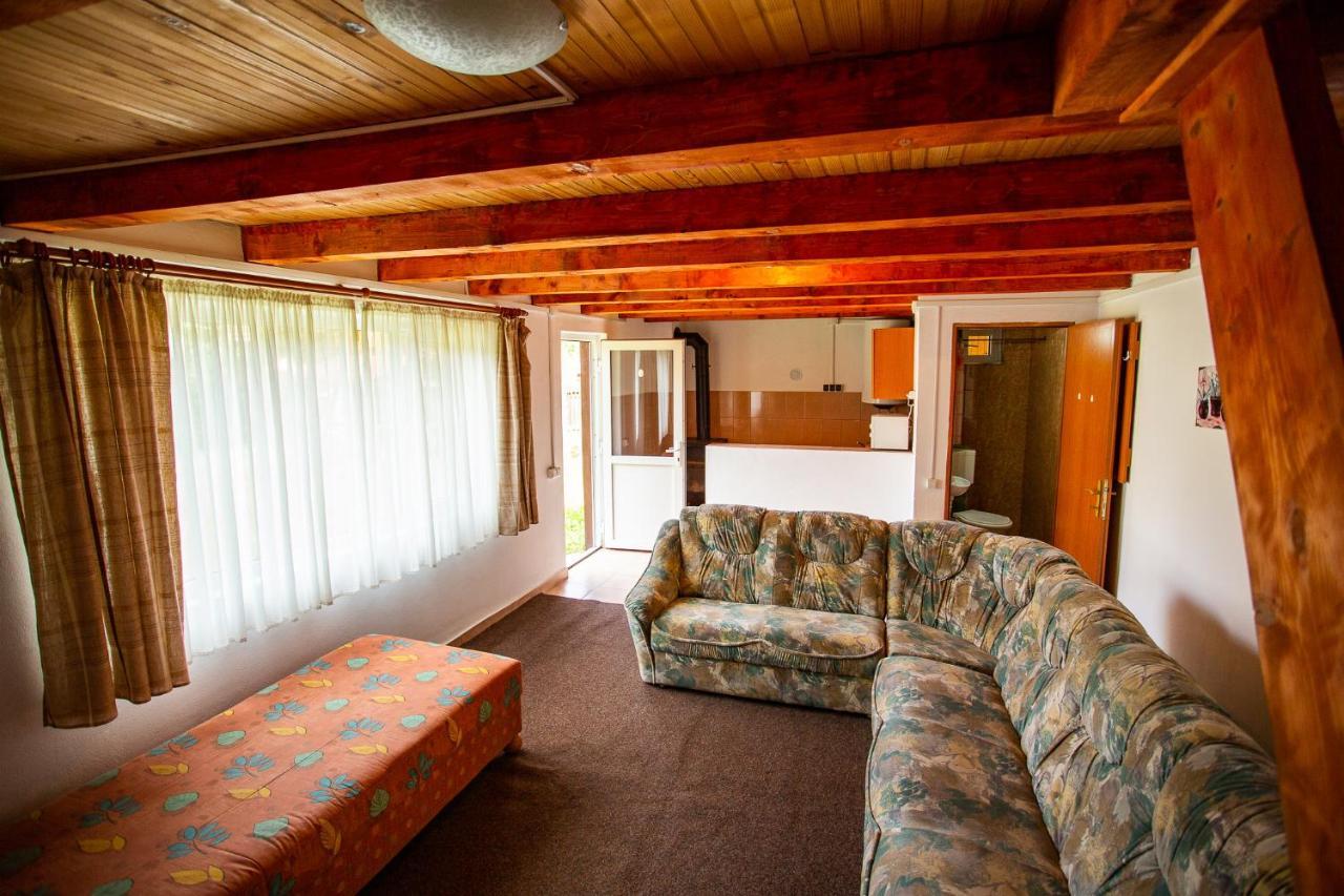 Hotel Casa Trandafirilor Cîrţişoara Zewnętrze zdjęcie