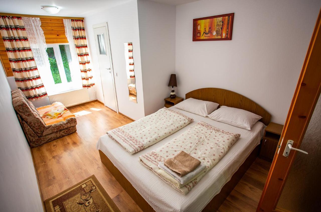 Hotel Casa Trandafirilor Cîrţişoara Zewnętrze zdjęcie