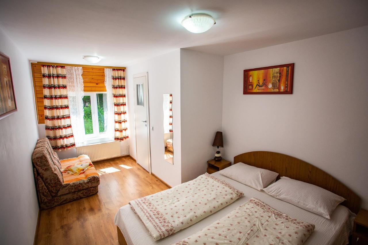 Hotel Casa Trandafirilor Cîrţişoara Zewnętrze zdjęcie