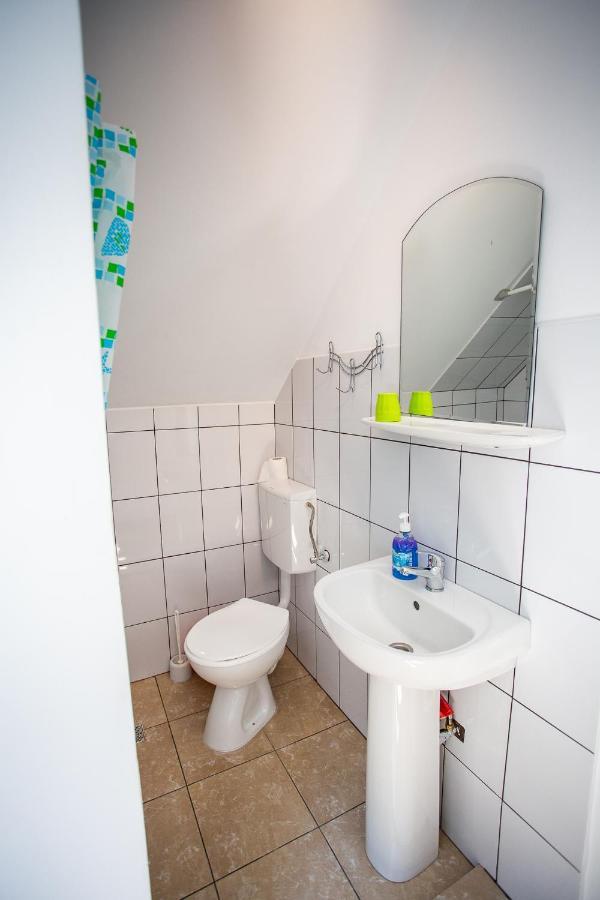Hotel Casa Trandafirilor Cîrţişoara Zewnętrze zdjęcie