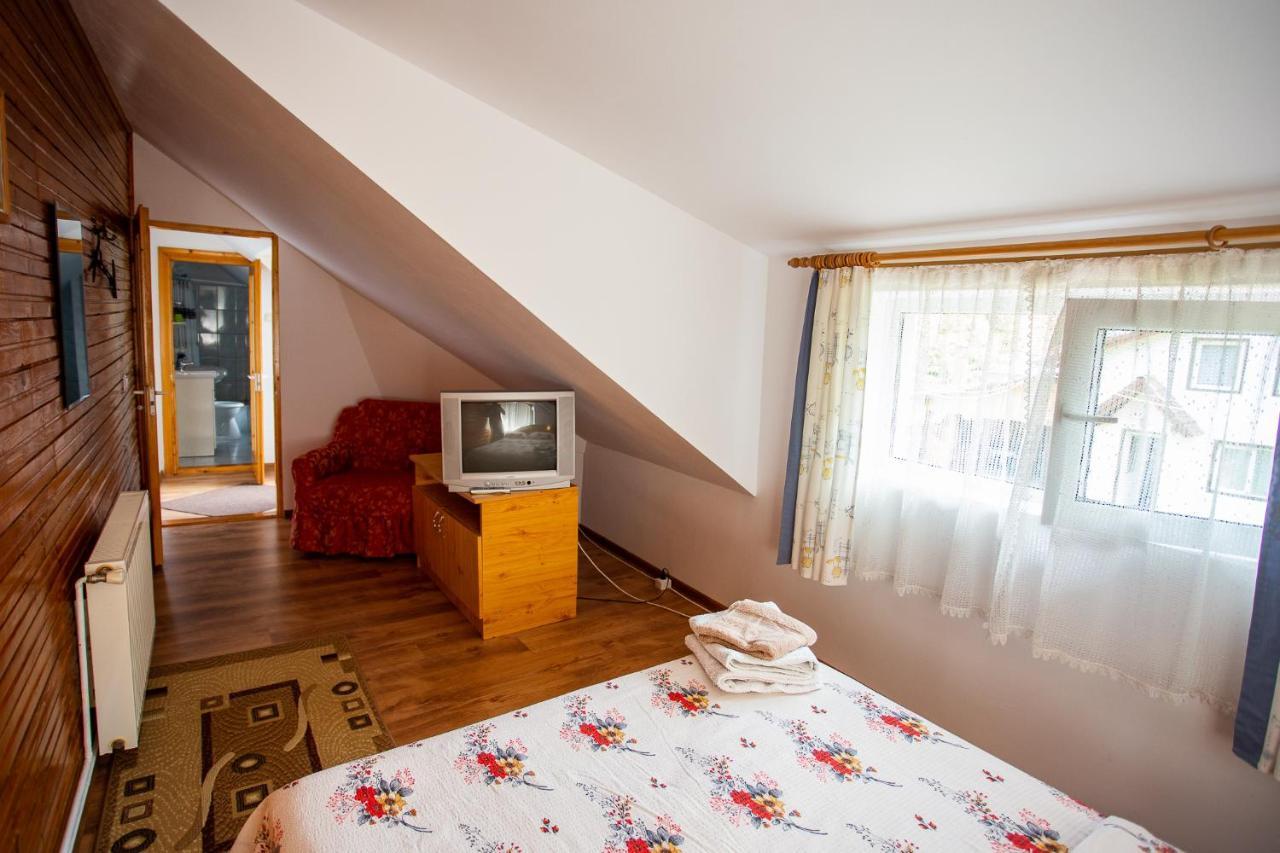 Hotel Casa Trandafirilor Cîrţişoara Zewnętrze zdjęcie