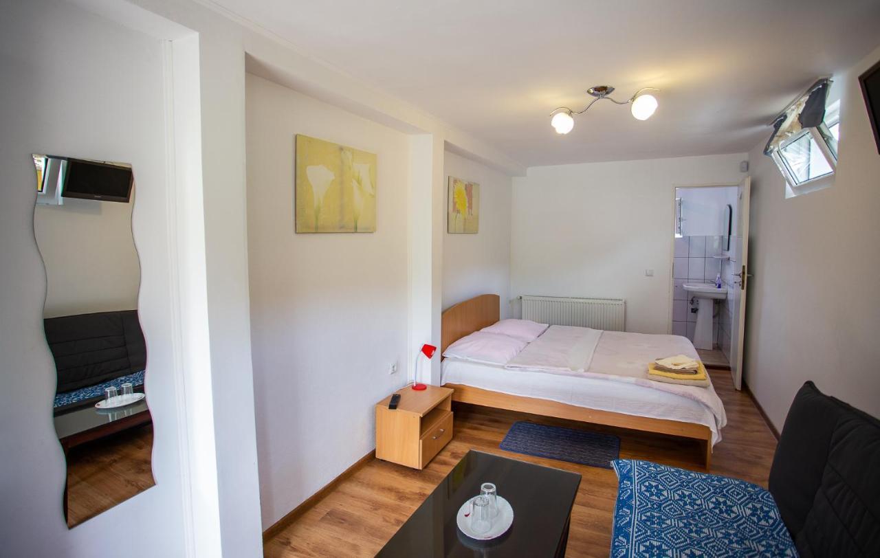Hotel Casa Trandafirilor Cîrţişoara Zewnętrze zdjęcie