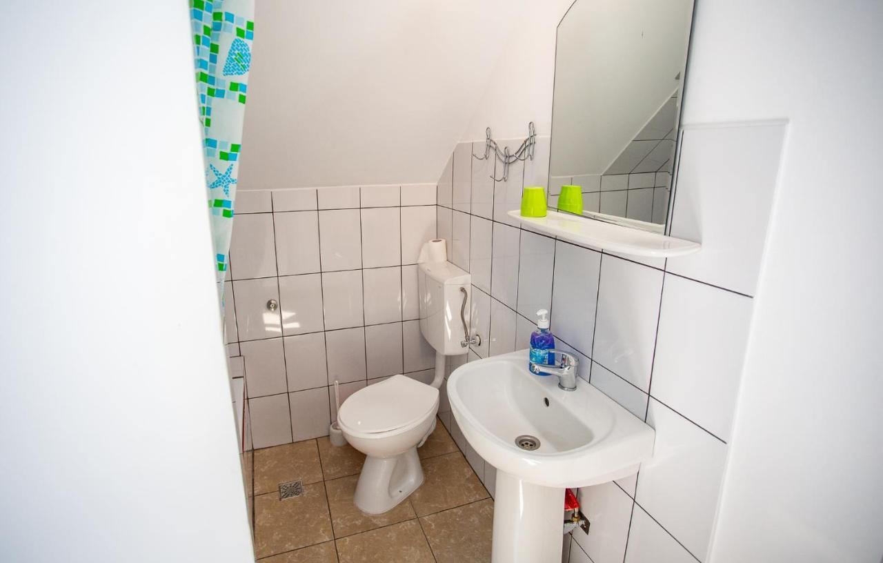 Hotel Casa Trandafirilor Cîrţişoara Zewnętrze zdjęcie