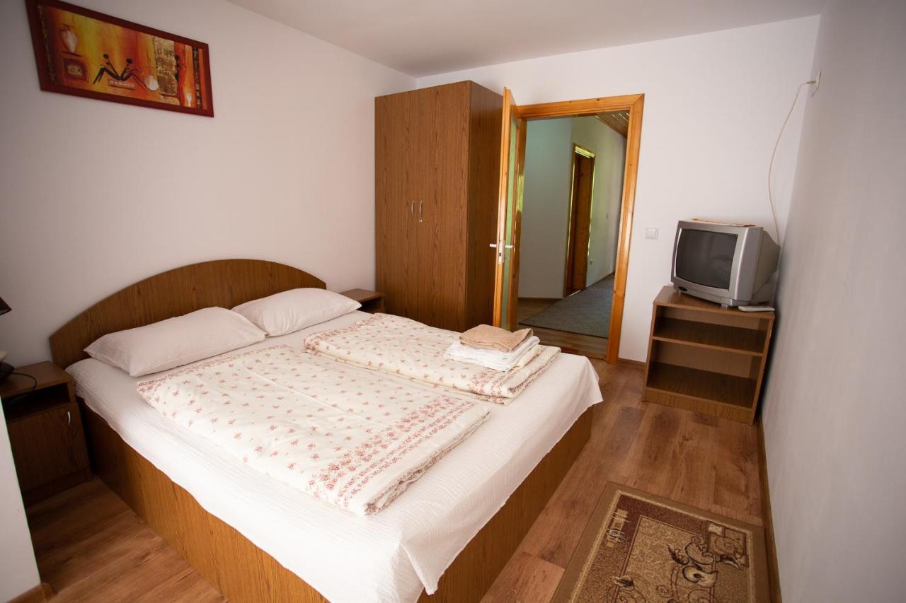 Hotel Casa Trandafirilor Cîrţişoara Zewnętrze zdjęcie