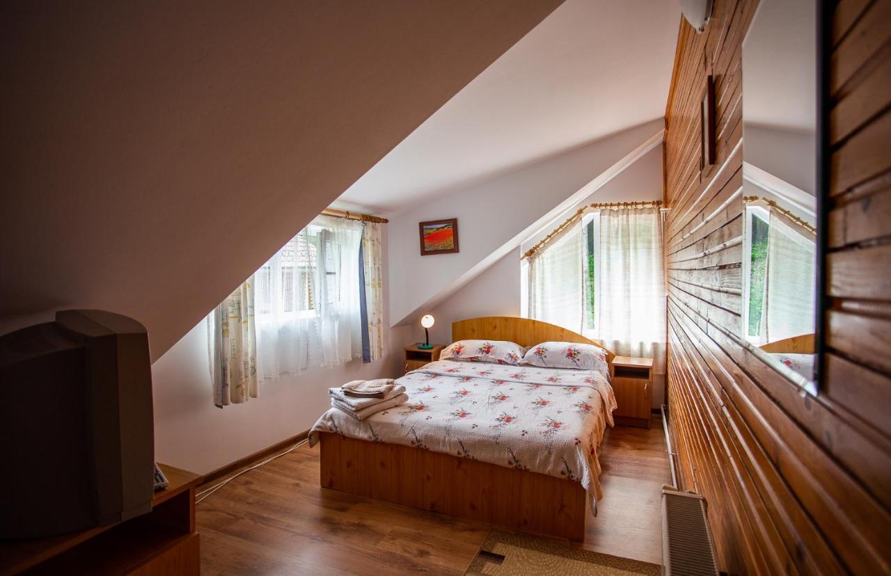 Hotel Casa Trandafirilor Cîrţişoara Zewnętrze zdjęcie