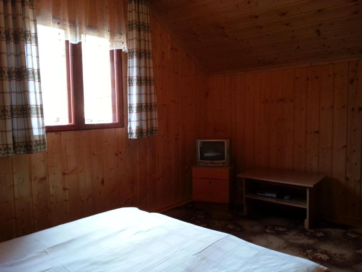 Hotel Casa Trandafirilor Cîrţişoara Zewnętrze zdjęcie