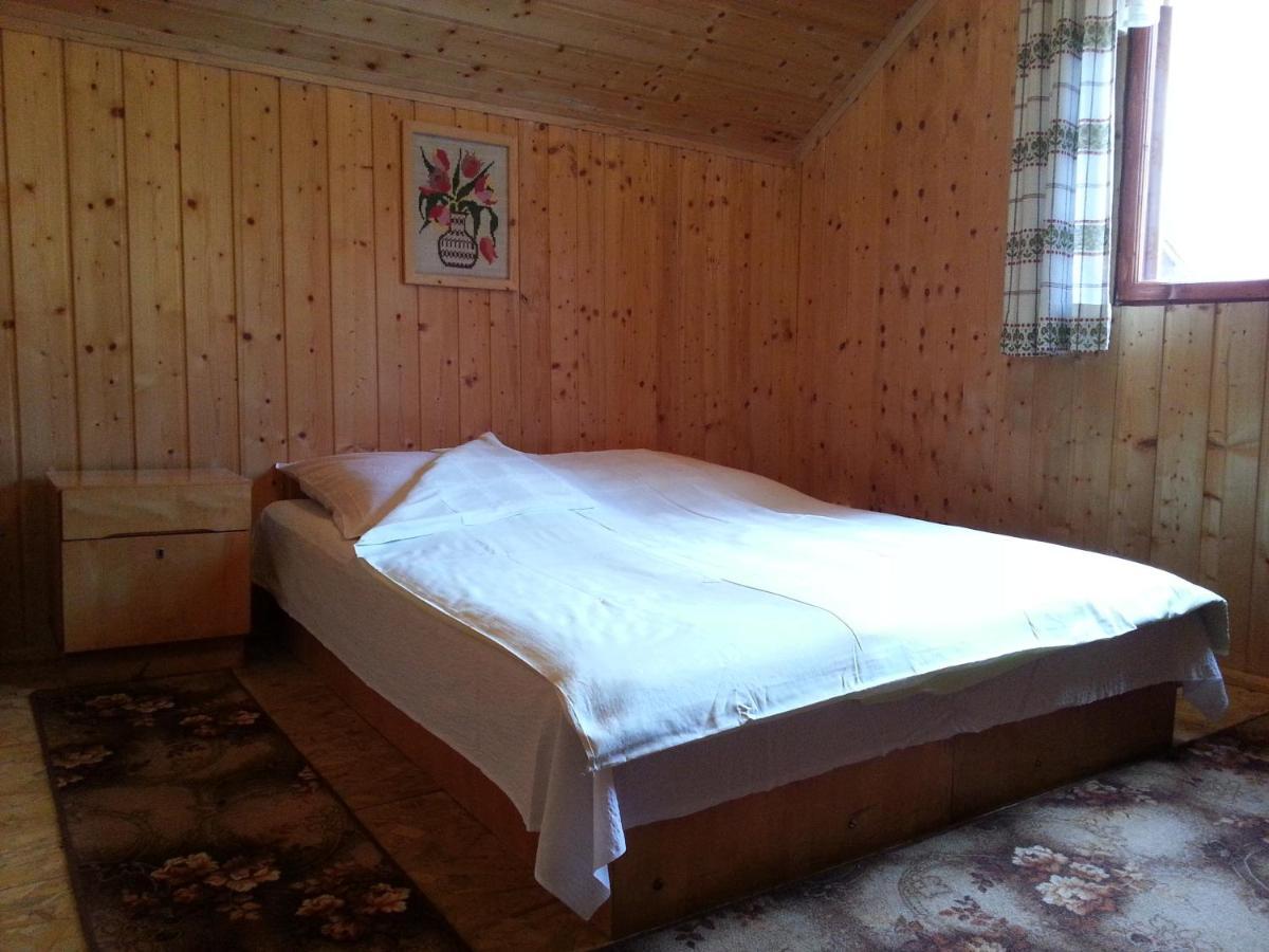 Hotel Casa Trandafirilor Cîrţişoara Zewnętrze zdjęcie