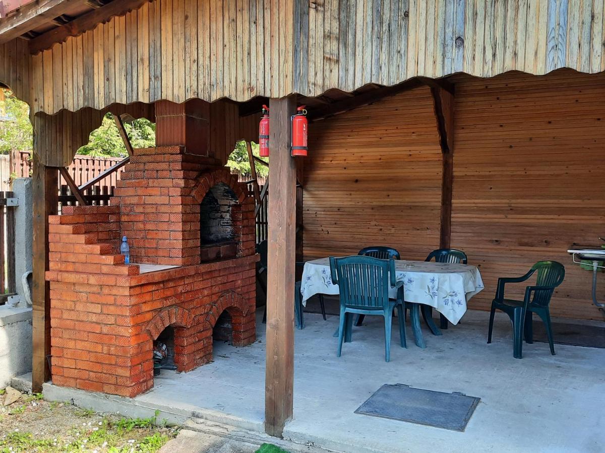 Hotel Casa Trandafirilor Cîrţişoara Zewnętrze zdjęcie