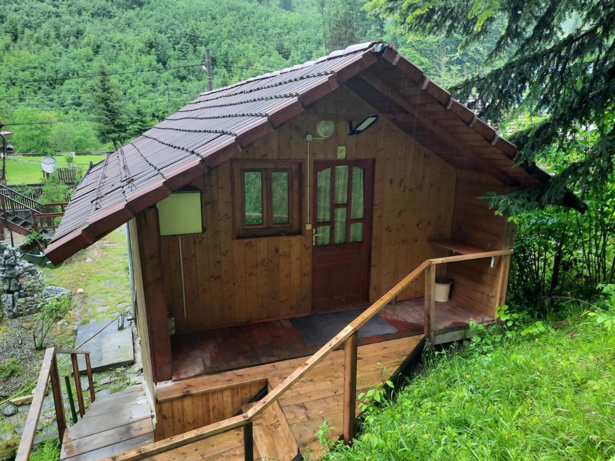 Hotel Casa Trandafirilor Cîrţişoara Zewnętrze zdjęcie