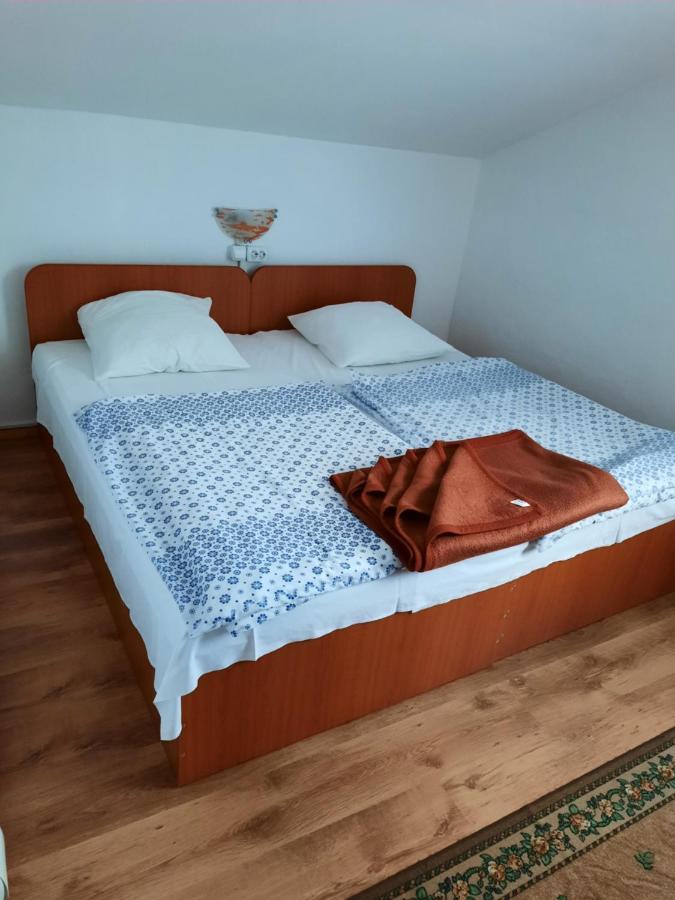Hotel Casa Trandafirilor Cîrţişoara Zewnętrze zdjęcie