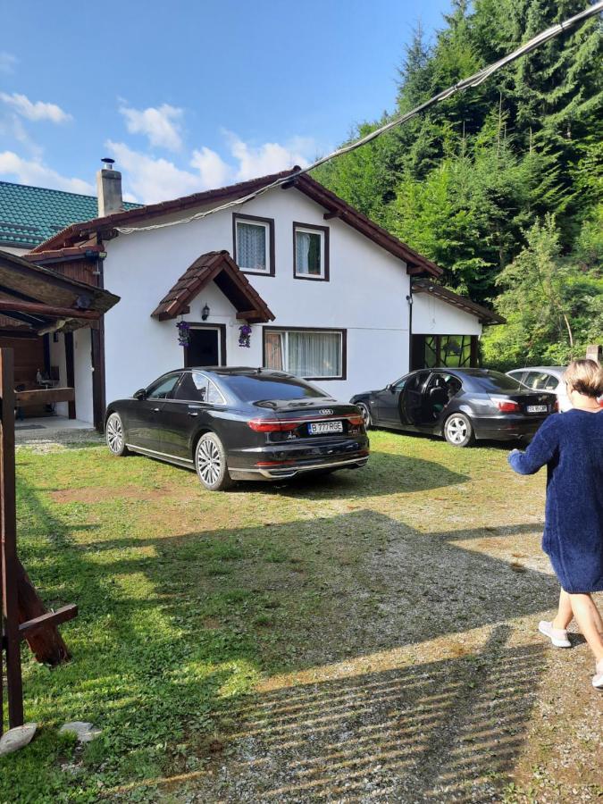 Hotel Casa Trandafirilor Cîrţişoara Zewnętrze zdjęcie