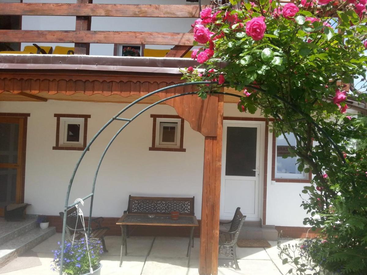Hotel Casa Trandafirilor Cîrţişoara Zewnętrze zdjęcie
