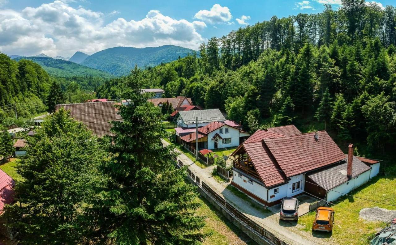Hotel Casa Trandafirilor Cîrţişoara Zewnętrze zdjęcie