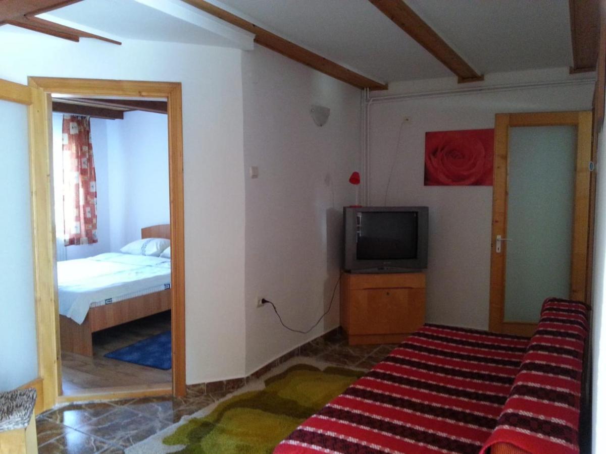 Hotel Casa Trandafirilor Cîrţişoara Zewnętrze zdjęcie