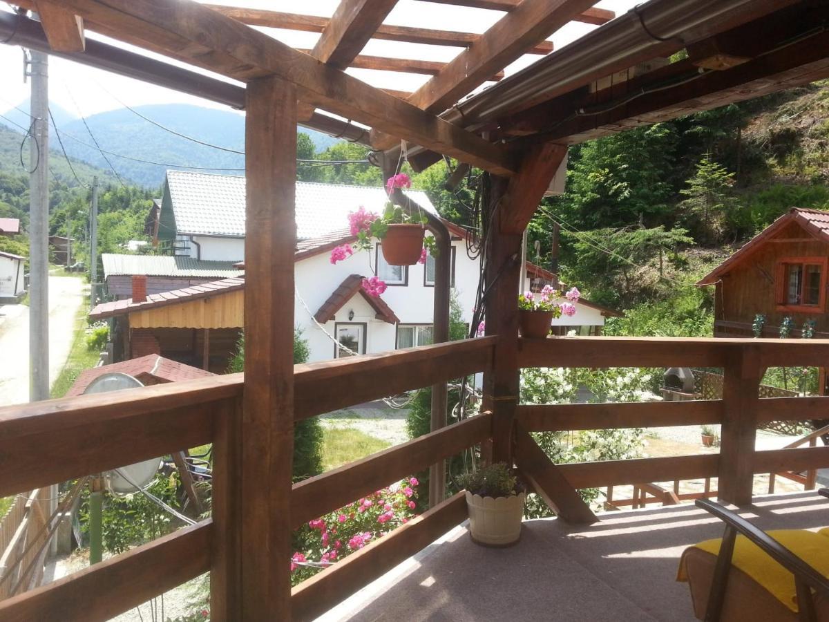 Hotel Casa Trandafirilor Cîrţişoara Zewnętrze zdjęcie